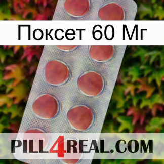 Поксет 60 Мг 18